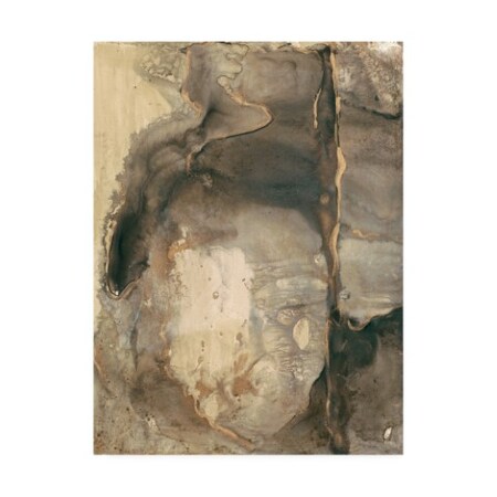 Joyce Combs 'Ancient Rock I' Canvas Art,35x47